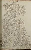 An illustration from Directoire designs for textiles (1793)
