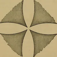 An illustration from The discharge of electricity through gases : lectures delivered on the occasion of the sesquicentennial of Princeton University (1898)