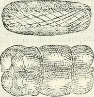Picture 169 of 260 from Discorsi delle fortificationi, espugnationi, & difese delle città & d'altri luoghi (1588), leaf 206