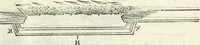 Picture 243 of 260 from Discorsi delle fortificationi, espugnationi, & difese delle città & d'altri luoghi (1588), leaf 254