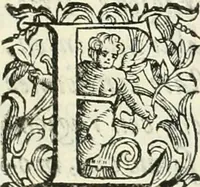 An illustration from Discorsi delle fortificationi, espugnationi, & difese delle città & d'altri luoghi (1588)