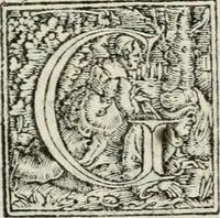 An illustration from Discorsi delli triomfi, giostre, apparati,é delle cose piu notabile fatte nelle sontuose nozze, dell' illustrissimo & eccellentissimo signor duca Guglielmo ... : compartiti in tre libri, con vno dialogo, della antichita del felice ceppo di Bauiera (1568)