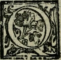Picture 4 of 9 from Discorsi del sig. conte Guidobaldo Bonarelli ... in difesa del doppio amore della sua Celia (1612), leaf 13