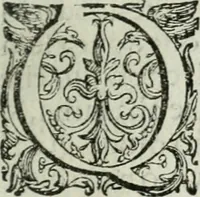Picture 29 of 75 from Discorsi del signor Scipione Ammirato sopra Cornelio Tacito (1607), leaf 228