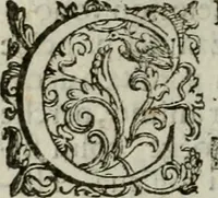 Picture 42 of 75 from Discorsi del signor Scipione Ammirato sopra Cornelio Tacito (1607), leaf 325