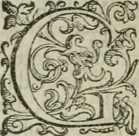 Picture 63 of 75 from Discorsi del signor Scipione Ammirato sopra Cornelio Tacito (1607), leaf 437