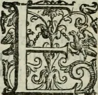 An illustration from Discorsi del signor Scipione Ammirato sopra Cornelio Tacito (1607)