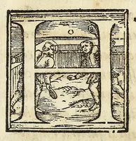 Picture 24 of 26 from Discorsi di monsignore don Vincenzio Borghini. Recati à luce da'deputati per suo testamento. Con la tavola delle cose piv notabili (1584), leaf 361