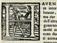 Picture 9 of 29 from Discorsi intorno a diverse cose natvrali (1628), leaf 31
