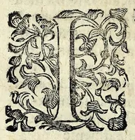 Picture 21 of 29 from Discorsi intorno a diverse cose natvrali (1628), leaf 66