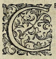 An illustration from Discorsi intorno a diverse cose natvrali (1628)