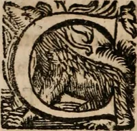 An illustration from Discorsi politici del signor Fabio ALbergati ne i quali viena riprouata la dottrina politica di Gio. Bodino, e difesa quella d'Aristotile .. (1664)