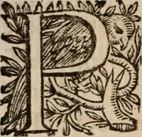 An illustration from Discorsi politici del signor Fabio ALbergati ne i quali viena riprouata la dottrina politica di Gio. Bodino, e difesa quella d'Aristotile .. (1664)
