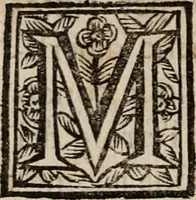 An illustration from Discorsi politici del signor Fabio ALbergati ne i quali viena riprouata la dottrina politica di Gio. Bodino, e difesa quella d'Aristotile .. (1664)