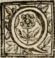 An illustration from Discorsi politici del signor Fabio ALbergati ne i quali viena riprouata la dottrina politica di Gio. Bodino, e difesa quella d'Aristotile .. (1664)