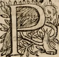 An illustration from Discorsi politici del signor Fabio ALbergati ne i quali viena riprouata la dottrina politica di Gio. Bodino, e difesa quella d'Aristotile .. (1664)