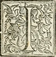 An illustration from Discorso del cavalier Carlo Fontana sopra il Monte Citatorio situato nel Campo Martio, ed altre cose ad esso appartenenti, con disegni tanto degl' antichi, quanto de' moderni edificii della nuova Curia (1694)