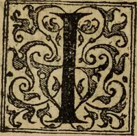 An illustration from Discorso della religione antica de Romani, insieme vn'altro Discorso della castrametatione, et disciplina militare, bagni, & essercitij antichi di detti Romani; (1569)