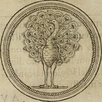 An illustration from Discorso della religione antica de Romani, insieme vn'altro Discorso della castrametatione, et disciplina militare, bagni, & essercitij antichi di detti Romani; (1569)