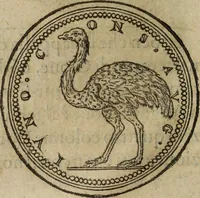 An illustration from Discorso della religione antica de Romani, insieme vn'altro Discorso della castrametatione, et disciplina militare, bagni, & essercitij antichi di detti Romani; (1569)