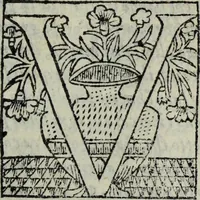 An illustration from Discorso del S. Gvglielmo Chovl ... sopra la castrametatione & bagni antichi de i Greci & Romani (1559)