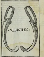 Picture 39 of 41 from Discorso del S. Gvglielmo Chovl ... sopra la castrametatione & bagni antichi de i Greci & Romani (1559), leaf 134