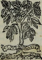 An illustration from Discorso del S. Gvglielmo Chovl ... sopra la castrametatione & bagni antichi de i Greci & Romani (1559)