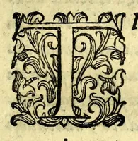 An illustration from Discorso di Agostino Michele, in cui contra l'opinione di tutti più illustri scrittori dell'arte poetica chiaramente si dimostra : come si possono scriuere con molta lode le comedie, e le tragedie in prosa : et di molti altri precetti di cotal arte assai copiosamente si ragiona (1592)