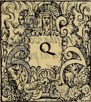 An illustration from Discorso di Alessandro Lamo intorno alla scoltvra, et pittvra : doue ragiona della vita, & opere in molti luoghi, & à diuersi prencipi, & personaggi fatte dall' eccell. & nobile M. Bernardino Campo, pittore cremonese (1584)