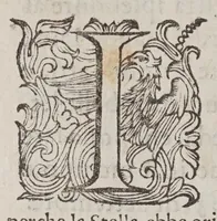 An illustration from Discorso di Raffael' Gvalterotti ... sopra l'apparizione de la nvova stella : e sopra le tre oscurazioni del sole, e de la luna nel anno 1605 : con alquanto di lume del arte del oro (1605)
