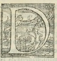 Picture 2 of 2 from Discorso e particolar notitia de le feste, trionfi, pompe, e giostre fatte in Francia, dopo la conclusion de la pace, nel sposar di Madama Elisabetta, primagenita del re christianissimo insieme con le pompe funerali, dopo la morte di Sua Maestà christianissima, accuratissimamente dal uero scritte (1559), leaf 23