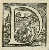 An illustration from Discorso e particolar notitia de le feste, trionfi, pompe, e giostre fatte in Francia, dopo la conclusion de la pace, nel sposar di Madama Elisabetta, primagenita del re christianissimo insieme con le pompe funerali, dopo la morte di Sua Maestà christianissima, accuratissimamente dal uero scritte (1559)