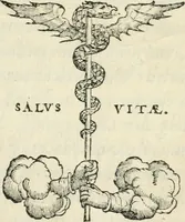 An illustration from Discorso sopra la livrea d'vn cavaliere incognito : caualiere della giostra de' signori Accademici Gimnosofisti di Padoua del LXVII. nella quale si rappresenta lo stato de gl'innamorati (1567)