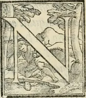 An illustration from Discorso sopra la livrea d'vn cavaliere incognito : caualiere della giostra de' signori Accademici Gimnosofisti di Padoua del LXVII. nella quale si rappresenta lo stato de gl'innamorati (1567)