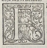 An illustration from Discorso sopra la mirabil : opera di basso rilievo di cera stuccata con colori scolpita in pietra negra (1590)