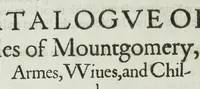 Picture 13 of 26 from A discouerie of errours in the first edition of the Catalogue of nobility, published by Raphe Brooke, Yorke Herald, 1619, and printed heerewith word for word, according to that edition : with a continuance of the successions, from 1619 vntill this present yeare, 1622 : at the end whereof, is annexed a review of a later edition, by him stolne into the world, 1621 (1622), leaf 396
