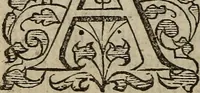 Picture 42 of 248 from The discouerie of witchcraft, : wherein the lewde dealing of witches and witchmongers is notablie detected, the knauerie of coniurors, the impietie of inchantors, the follie of soothsaiers, the impudent falshood of cousenors, the infidelitie of atheists, the pestilent practices of Pythonists, the curiositie of figure casters, the vanitie of dreamers, the beggerlie art of alcumystrie, the abhomination of idolatrie, the horrible art of poisoning, the vertue and power of naturall magike, and all the conueiances of legierdemaine and iuggling are deciphered: and many other things opened, which have long lien hidden, howbeit verie necessarie to be knowne. : Heerevnto is added a treatise vpon the nature and substance of spirits and diuels, & c (1584), leaf 101
