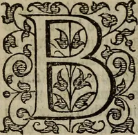 Picture 47 of 248 from The discouerie of witchcraft, : wherein the lewde dealing of witches and witchmongers is notablie detected, the knauerie of coniurors, the impietie of inchantors, the follie of soothsaiers, the impudent falshood of cousenors, the infidelitie of atheists, the pestilent practices of Pythonists, the curiositie of figure casters, the vanitie of dreamers, the beggerlie art of alcumystrie, the abhomination of idolatrie, the horrible art of poisoning, the vertue and power of naturall magike, and all the conueiances of legierdemaine and iuggling are deciphered: and many other things opened, which have long lien hidden, howbeit verie necessarie to be knowne. : Heerevnto is added a treatise vpon the nature and substance of spirits and diuels, & c (1584), leaf 109