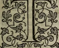 An illustration from The discouerie of witchcraft, : wherein the lewde dealing of witches and witchmongers is notablie detected, the knauerie of coniurors, the impietie of inchantors, the follie of soothsaiers, the impudent falshood of cousenors, the infidelitie of atheists, the pestilent practices of Pythonists, the curiositie of figure casters, the vanitie of dreamers, the beggerlie art of alcumystrie, the abhomination of idolatrie, the horrible art of poisoning, the vertue and power of naturall magike, and all the conueiances of legierdemaine and iuggling are deciphered: and many other things opened, which have long lien hidden, howbeit verie necessarie to be knowne. : Heerevnto is added a treatise vpon the nature and substance of spirits and diuels, & c (1584)