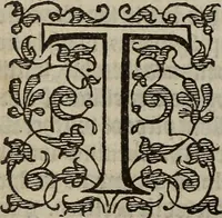 Picture 50 of 248 from The discouerie of witchcraft, : wherein the lewde dealing of witches and witchmongers is notablie detected, the knauerie of coniurors, the impietie of inchantors, the follie of soothsaiers, the impudent falshood of cousenors, the infidelitie of atheists, the pestilent practices of Pythonists, the curiositie of figure casters, the vanitie of dreamers, the beggerlie art of alcumystrie, the abhomination of idolatrie, the horrible art of poisoning, the vertue and power of naturall magike, and all the conueiances of legierdemaine and iuggling are deciphered: and many other things opened, which have long lien hidden, howbeit verie necessarie to be knowne. : Heerevnto is added a treatise vpon the nature and substance of spirits and diuels, & c (1584), leaf 113