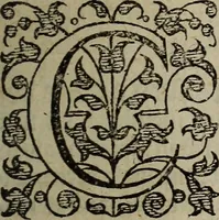An illustration from The discouerie of witchcraft, : wherein the lewde dealing of witches and witchmongers is notablie detected, the knauerie of coniurors, the impietie of inchantors, the follie of soothsaiers, the impudent falshood of cousenors, the infidelitie of atheists, the pestilent practices of Pythonists, the curiositie of figure casters, the vanitie of dreamers, the beggerlie art of alcumystrie, the abhomination of idolatrie, the horrible art of poisoning, the vertue and power of naturall magike, and all the conueiances of legierdemaine and iuggling are deciphered: and many other things opened, which have long lien hidden, howbeit verie necessarie to be knowne. : Heerevnto is added a treatise vpon the nature and substance of spirits and diuels, & c (1584)