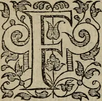 An illustration from The discouerie of witchcraft, : wherein the lewde dealing of witches and witchmongers is notablie detected, the knauerie of coniurors, the impietie of inchantors, the follie of soothsaiers, the impudent falshood of cousenors, the infidelitie of atheists, the pestilent practices of Pythonists, the curiositie of figure casters, the vanitie of dreamers, the beggerlie art of alcumystrie, the abhomination of idolatrie, the horrible art of poisoning, the vertue and power of naturall magike, and all the conueiances of legierdemaine and iuggling are deciphered: and many other things opened, which have long lien hidden, howbeit verie necessarie to be knowne. : Heerevnto is added a treatise vpon the nature and substance of spirits and diuels, & c (1584)