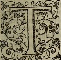 Picture 54 of 248 from The discouerie of witchcraft, : wherein the lewde dealing of witches and witchmongers is notablie detected, the knauerie of coniurors, the impietie of inchantors, the follie of soothsaiers, the impudent falshood of cousenors, the infidelitie of atheists, the pestilent practices of Pythonists, the curiositie of figure casters, the vanitie of dreamers, the beggerlie art of alcumystrie, the abhomination of idolatrie, the horrible art of poisoning, the vertue and power of naturall magike, and all the conueiances of legierdemaine and iuggling are deciphered: and many other things opened, which have long lien hidden, howbeit verie necessarie to be knowne. : Heerevnto is added a treatise vpon the nature and substance of spirits and diuels, & c (1584), leaf 118