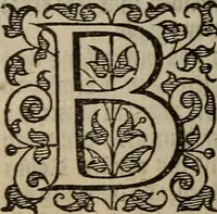 Picture 55 of 248 from The discouerie of witchcraft, : wherein the lewde dealing of witches and witchmongers is notablie detected, the knauerie of coniurors, the impietie of inchantors, the follie of soothsaiers, the impudent falshood of cousenors, the infidelitie of atheists, the pestilent practices of Pythonists, the curiositie of figure casters, the vanitie of dreamers, the beggerlie art of alcumystrie, the abhomination of idolatrie, the horrible art of poisoning, the vertue and power of naturall magike, and all the conueiances of legierdemaine and iuggling are deciphered: and many other things opened, which have long lien hidden, howbeit verie necessarie to be knowne. : Heerevnto is added a treatise vpon the nature and substance of spirits and diuels, & c (1584), leaf 119