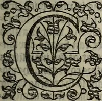 Picture 59 of 248 from The discouerie of witchcraft, : wherein the lewde dealing of witches and witchmongers is notablie detected, the knauerie of coniurors, the impietie of inchantors, the follie of soothsaiers, the impudent falshood of cousenors, the infidelitie of atheists, the pestilent practices of Pythonists, the curiositie of figure casters, the vanitie of dreamers, the beggerlie art of alcumystrie, the abhomination of idolatrie, the horrible art of poisoning, the vertue and power of naturall magike, and all the conueiances of legierdemaine and iuggling are deciphered: and many other things opened, which have long lien hidden, howbeit verie necessarie to be knowne. : Heerevnto is added a treatise vpon the nature and substance of spirits and diuels, & c (1584), leaf 130