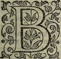 Picture 60 of 248 from The discouerie of witchcraft, : wherein the lewde dealing of witches and witchmongers is notablie detected, the knauerie of coniurors, the impietie of inchantors, the follie of soothsaiers, the impudent falshood of cousenors, the infidelitie of atheists, the pestilent practices of Pythonists, the curiositie of figure casters, the vanitie of dreamers, the beggerlie art of alcumystrie, the abhomination of idolatrie, the horrible art of poisoning, the vertue and power of naturall magike, and all the conueiances of legierdemaine and iuggling are deciphered: and many other things opened, which have long lien hidden, howbeit verie necessarie to be knowne. : Heerevnto is added a treatise vpon the nature and substance of spirits and diuels, & c (1584), leaf 132