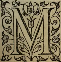 An illustration from The discouerie of witchcraft, : wherein the lewde dealing of witches and witchmongers is notablie detected, the knauerie of coniurors, the impietie of inchantors, the follie of soothsaiers, the impudent falshood of cousenors, the infidelitie of atheists, the pestilent practices of Pythonists, the curiositie of figure casters, the vanitie of dreamers, the beggerlie art of alcumystrie, the abhomination of idolatrie, the horrible art of poisoning, the vertue and power of naturall magike, and all the conueiances of legierdemaine and iuggling are deciphered: and many other things opened, which have long lien hidden, howbeit verie necessarie to be knowne. : Heerevnto is added a treatise vpon the nature and substance of spirits and diuels, & c (1584)