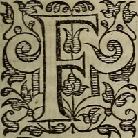 An illustration from The discouerie of witchcraft, : wherein the lewde dealing of witches and witchmongers is notablie detected, the knauerie of coniurors, the impietie of inchantors, the follie of soothsaiers, the impudent falshood of cousenors, the infidelitie of atheists, the pestilent practices of Pythonists, the curiositie of figure casters, the vanitie of dreamers, the beggerlie art of alcumystrie, the abhomination of idolatrie, the horrible art of poisoning, the vertue and power of naturall magike, and all the conueiances of legierdemaine and iuggling are deciphered: and many other things opened, which have long lien hidden, howbeit verie necessarie to be knowne. : Heerevnto is added a treatise vpon the nature and substance of spirits and diuels, & c (1584)