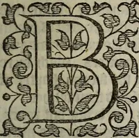 Picture 64 of 248 from The discouerie of witchcraft, : wherein the lewde dealing of witches and witchmongers is notablie detected, the knauerie of coniurors, the impietie of inchantors, the follie of soothsaiers, the impudent falshood of cousenors, the infidelitie of atheists, the pestilent practices of Pythonists, the curiositie of figure casters, the vanitie of dreamers, the beggerlie art of alcumystrie, the abhomination of idolatrie, the horrible art of poisoning, the vertue and power of naturall magike, and all the conueiances of legierdemaine and iuggling are deciphered: and many other things opened, which have long lien hidden, howbeit verie necessarie to be knowne. : Heerevnto is added a treatise vpon the nature and substance of spirits and diuels, & c (1584), leaf 142