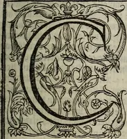 An illustration from The discouerie of witchcraft, : wherein the lewde dealing of witches and witchmongers is notablie detected, the knauerie of coniurors, the impietie of inchantors, the follie of soothsaiers, the impudent falshood of cousenors, the infidelitie of atheists, the pestilent practices of Pythonists, the curiositie of figure casters, the vanitie of dreamers, the beggerlie art of alcumystrie, the abhomination of idolatrie, the horrible art of poisoning, the vertue and power of naturall magike, and all the conueiances of legierdemaine and iuggling are deciphered: and many other things opened, which have long lien hidden, howbeit verie necessarie to be knowne. : Heerevnto is added a treatise vpon the nature and substance of spirits and diuels, & c (1584)